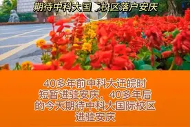 中科大国际校区落户安庆？图片