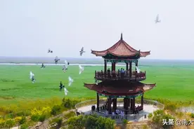 5.19中国旅游日南大港湿地景区“免费游湿地 ”主题活动图片