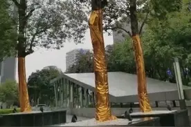 一只奇异大鸟落在南宁路边的树上几天不动，居民担心地叫来救护人员以后……图片