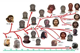 你真的知道人类是怎么来的吗？还有哪些谜团困扰着我们图片