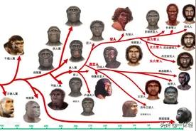 你真的知道人类是怎么来的吗？还有哪些谜团困扰着我们图片