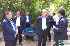 迎胜南路要建泰城首条高架路！图片