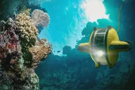 海底一万米有多恐怖？海洋的深处为什么是人类的一个禁区图片