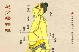 排毒养肝，养生第十一条经脉：足少阳胆经图片