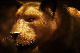 残暴狮的祖先是原始狮？重半吨敢猎杀1吨重的野牛，还不惧短面熊图片
