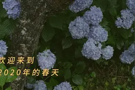 春天来了的49个证据图片
