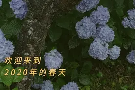 春天来了的49个证据图片