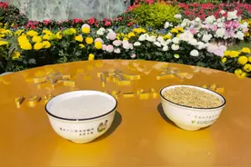 今天，再送袁老一程！这些细节让人红了眼眶图片