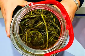 深秋，遇到雪里红我准买20斤，腌后比新鲜的好吃，冬天炖肉吃特香图片