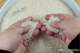 抓紧把剪刀插进大米，这方法真是厉害，一年省下好几百，长见识了图片