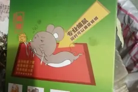 家有鼠患，头疼要死，求救啊图片