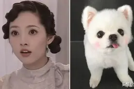 郭碧婷20岁民国剧造型流出，博美型长相自带讨喜属性，灵动可爱图片
