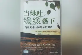 当绿叶缓缓落下，与生死学大师的最后对话，林生斌再婚背后图片
