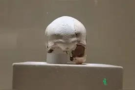10000年前的阿图什人头骨，他给我们传递了什么信息？图片