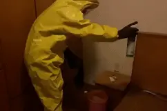 太瘆人了！浙江女子白天出门忘关窗，晚上回家吓一跳：密密麻麻......图片