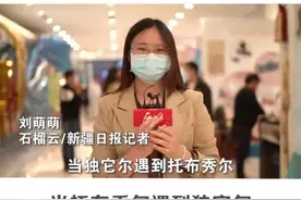石榴快播丨当托布秀尔遇到独它尔图片
