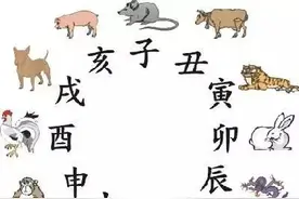 同为中国人，原来我们用的不是同一套生肖……图片