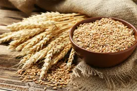 疫情告急！多国禁止粮食出口？对中国影响多大？图片