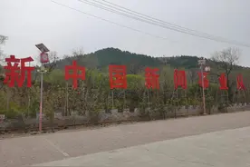 陕北新华电台旧址引发红色旅游热图片