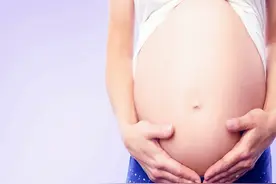 “为啥我一碰就中？”易孕体妈妈的反思，引出受孕成功率特征图片