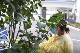 女子和闺蜜共同兼职 结果双双被骗“当时就想着赚钱”图片
