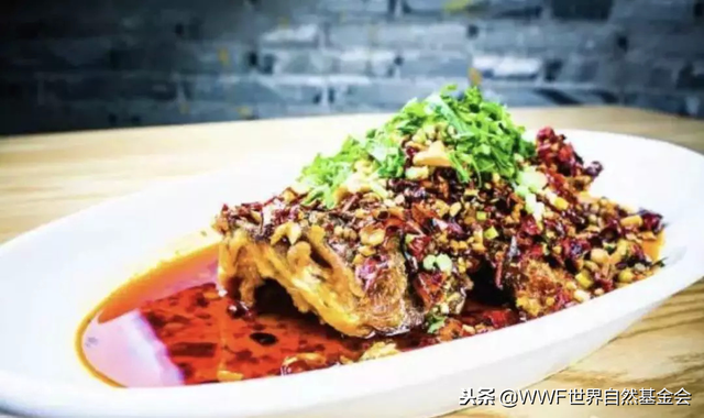 悦恣胶原肽复合果蔬片怎么吃 2026年悦恣胶原肽复合酵素片副作用
