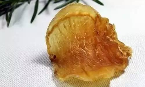 一立花胶鱼肚 2026年花胶鱼肚的功效与作用