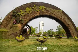合肥的大圩，妙！图片