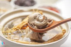 炖鸽子汤不能放什么材料，怪不得煮不好，原来材料都放错了图片