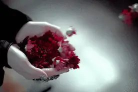 你好，我才能好图片