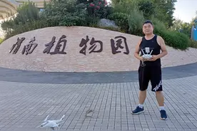 临渭区阳郭镇：航拍渭南植物园（花卉苗木现代农业示范基地）图片