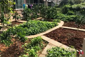 南昌红谷春天小区上百住户毁绿圈地建“私家园林”图片
