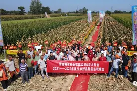 正大丰收行：富农588，致富千万家图片