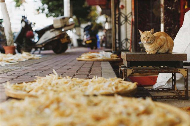 花胶香菇炖猪蹄 2026年花胶香菇炖猪蹄怎么做