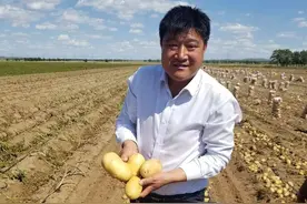 石家庄新乐“土豆哥”郝胜辉：让小土豆变成金蛋蛋图片