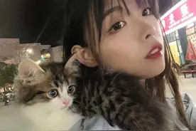 为什么说白开水，最适合猫咪饮用？图片