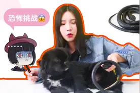 妹子收到一个“神秘的快递”，突然出来“一条蛇”，这是什么鬼？视频封面