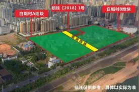 梧州首个150米住宅楼盘规划图曝光！有望成为梧州最高"天际线".图片
