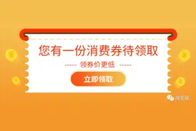 速来领！北辰投放2000万元购车消费券，最大面值5000元哦~图片