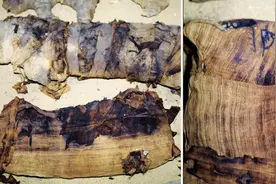 惊人！埃及6000年前古墓中发现猫咪木乃伊，还有极为罕见的圣甲虫视频封面