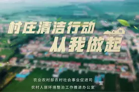 农村人居环境整治公益宣传片 |《乡村清洁》图片