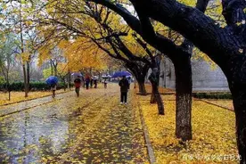 未觉池塘春草梦，阶前梧叶已秋声图片