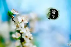 清明时可以祝节日快乐吗？网友：不可，专家：可以！该听谁的？图片