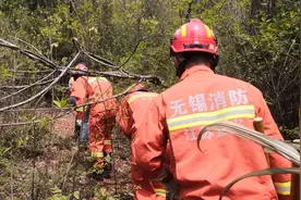 女子进山误踩捕兽夹，宜兴消防火速救援图片