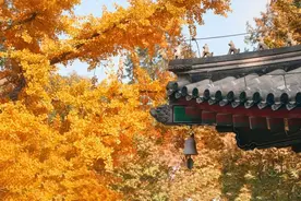 品读｜《岳阳楼记》今犹在，不见当年范仲淹图片