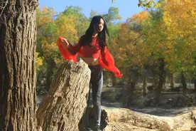 策克口岸向游客开放，异域风情别样风采，旅游节点是关键图片