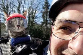 这只猫咪喜欢兜风，于是主人为它做了各种各样的头盔，羡慕哭了图片