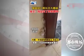 “我是来收房不是收菜”，新房门框上长蘑菇，女业主心态炸裂图片