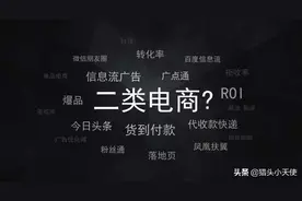 二类电商介绍和玩法解析图片