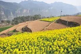 农村承包地宅基地有偿退出要具备三个条件，农民朋友快来了解图片
